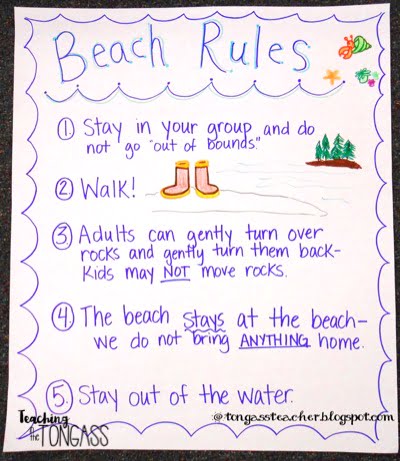 Simple Beach Rules Tide Pool Activities for Kids - Teaching in the Tongass