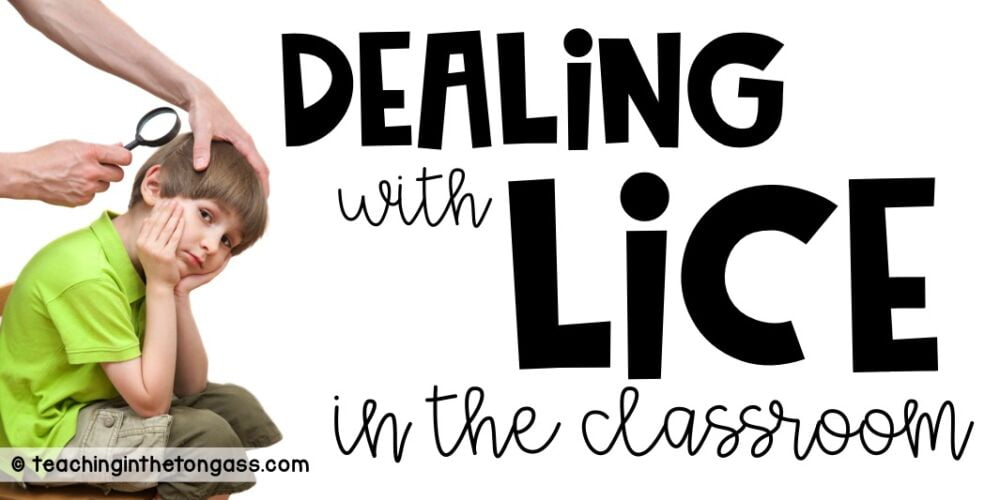 what to do if you have lice in the classroom