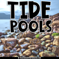 Tide Pool Activities