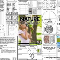 Nature Science Notebook Activities