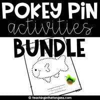Pokey Pin Fine Motor Skill Activities