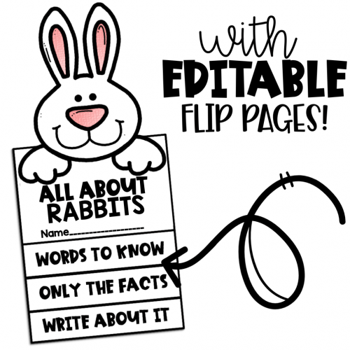 Editable Flip Book Template Rabbit