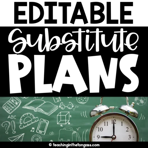 Editable Substitute Binder Teacher Templates