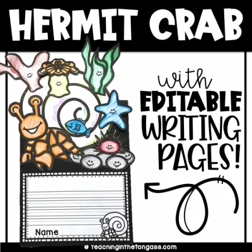 House for Hermit Crab Craft