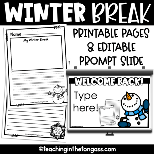 Winter Break Writing Activity