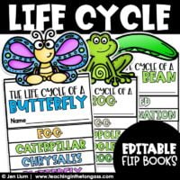 Life Cycle Editable Flip Book