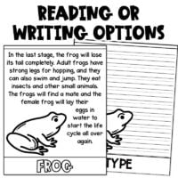 Frog Life Cycle Editable Flip Book